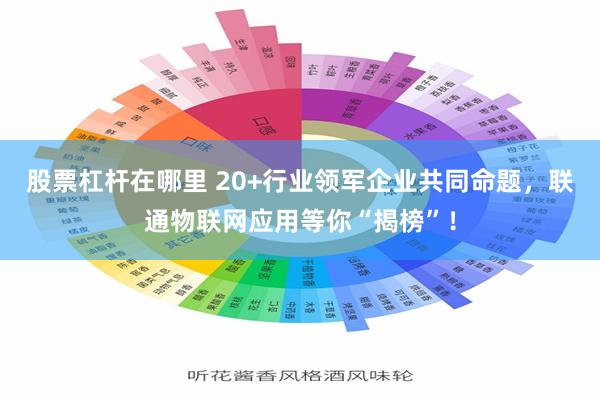 股票杠杆在哪里 20+行业领军企业共同命题，联通物联网应用等你“揭榜”！