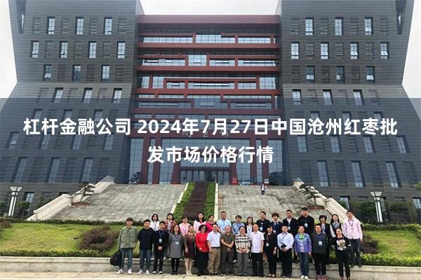 杠杆金融公司 2024年7月27日中国沧州红枣批发市场价格行情