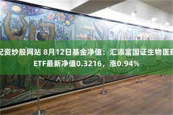 配资炒股网站 8月12日基金净值：汇添富国证生物医药ETF最新净值0.3216，涨0.94%