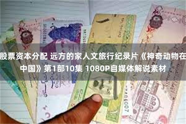 股票资本分配 远方的家人文旅行纪录片《神奇动物在中国》第1部10集 1080P自媒体解说素材