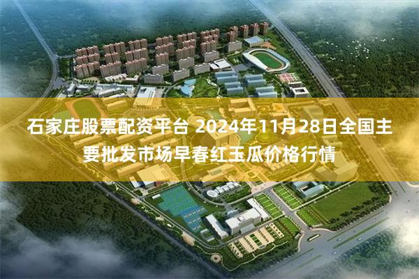 石家庄股票配资平台 2024年11月28日全国主要批发市场早春红玉瓜价格行情