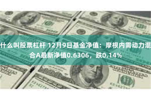 什么叫股票杠杆 12月9日基金净值：摩根内需动力混合A最新净值0.6306，跌0.14%