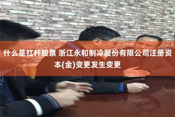 什么是扛杆股票 浙江永和制冷股份有限公司注册资本(金)变更发生变更