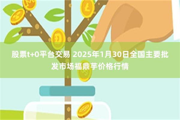 股票t+0平台交易 2025年1月30日全国主要批发市场福鼎芋价格行情