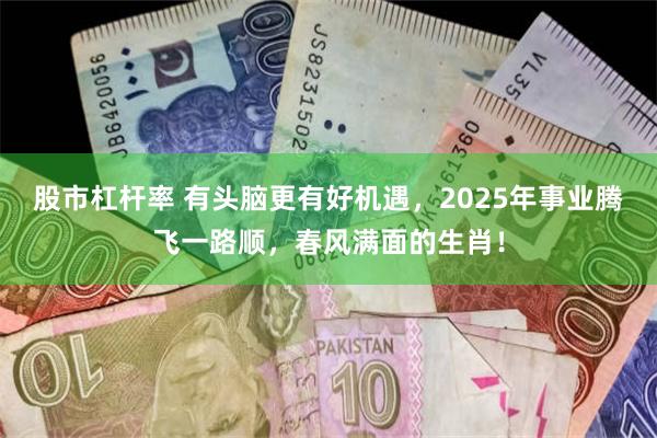 股市杠杆率 有头脑更有好机遇，2025年事业腾飞一路顺，春风满面的生肖！