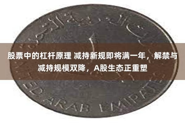 股票中的杠杆原理 减持新规即将满一年，解禁与减持规模双降，A股生态正重塑